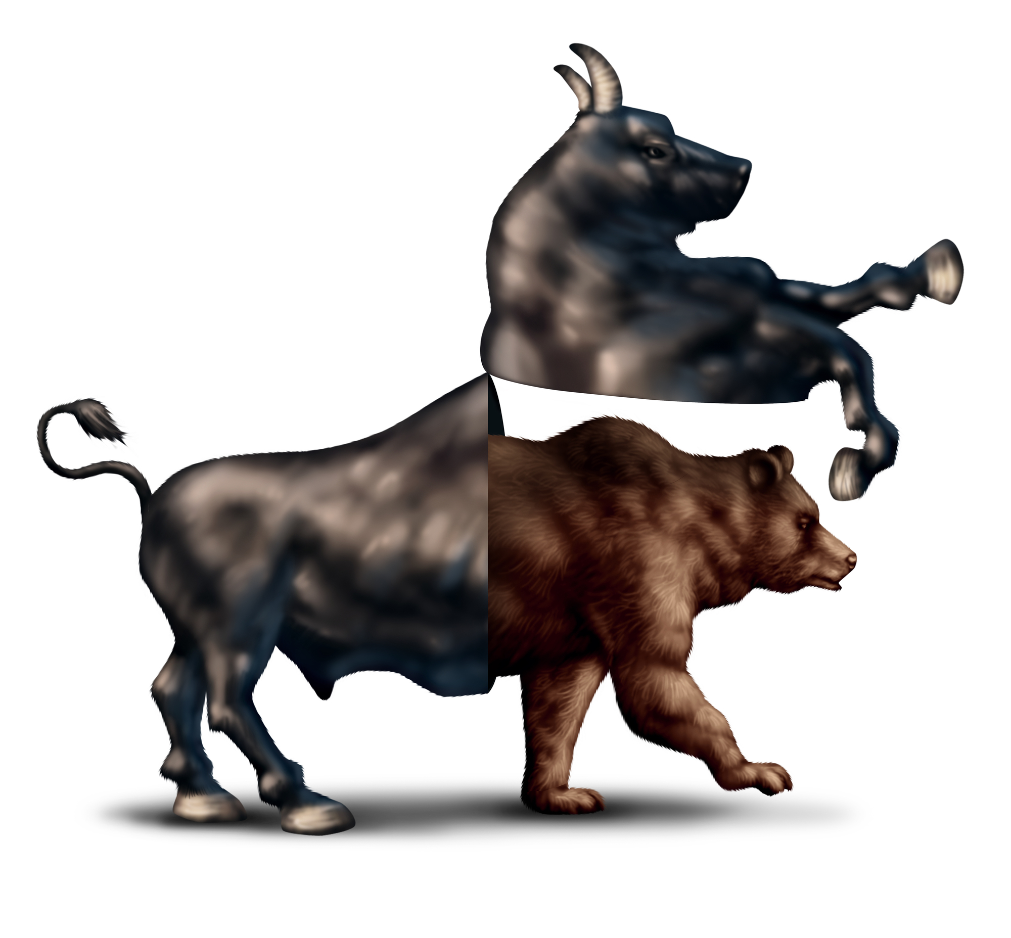 Stableford Capital Financial Planning can guide you through the Bull or Bear Market 