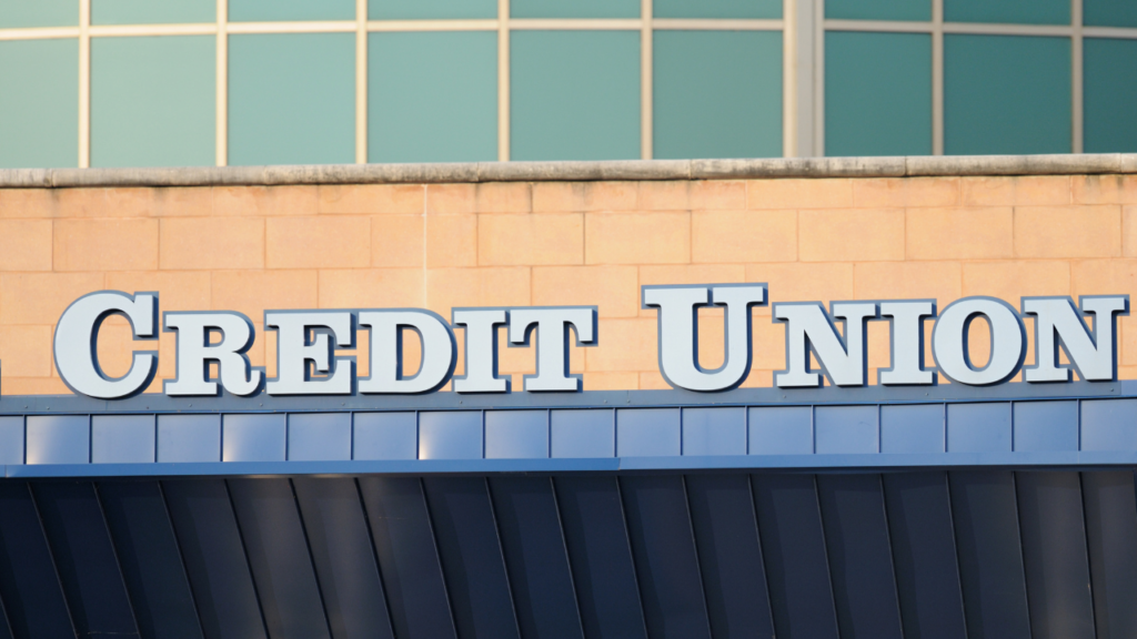 Credit union a way of mitigating exposure to FDIC Deposit Insurance Limits on Deposits